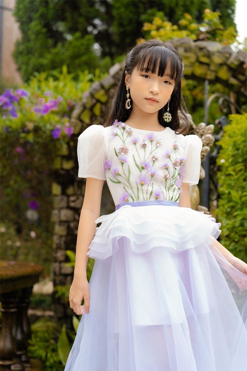 Nội dung chú thích ảnh