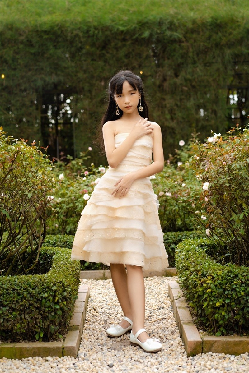 Nội dung chú thích ảnh