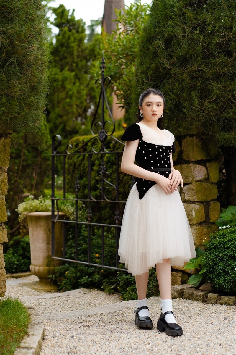 Nội dung chú thích ảnh