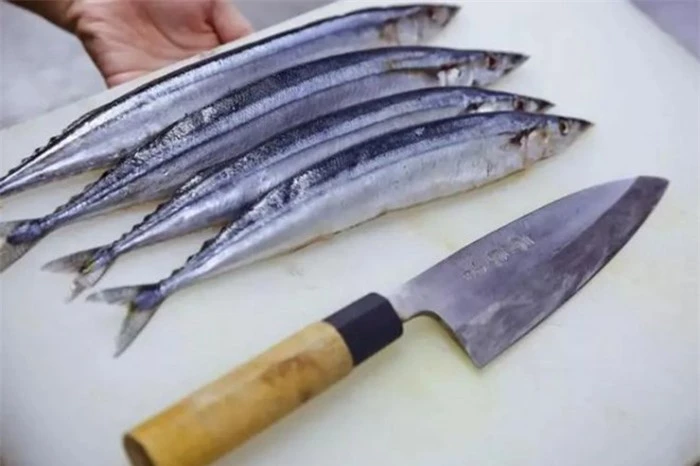 Loại cá người Nhật xem như “vàng cho não” nhưng nhiều người không thích 1
