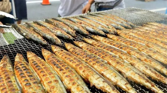 Loại cá người Nhật xem như “vàng cho não” nhưng nhiều người không thích 7