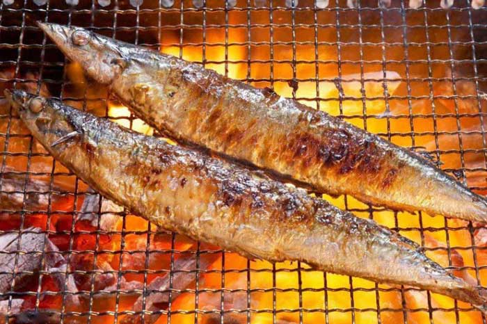 Loại cá người Nhật xem như “vàng cho não” nhưng nhiều người không thích