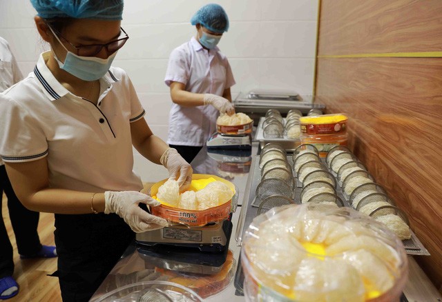 Xuất khẩu chính ngạch “mở đường” cho nông sản hướng đến sự chuyên nghiệp