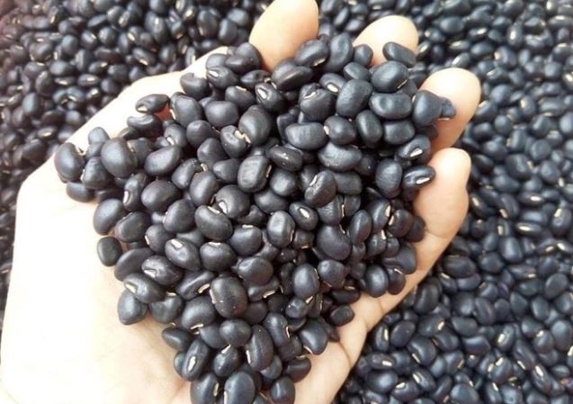 Không những ngon, đỗ đen còn mang lại 3 lợi ích sức khỏe cực lớn