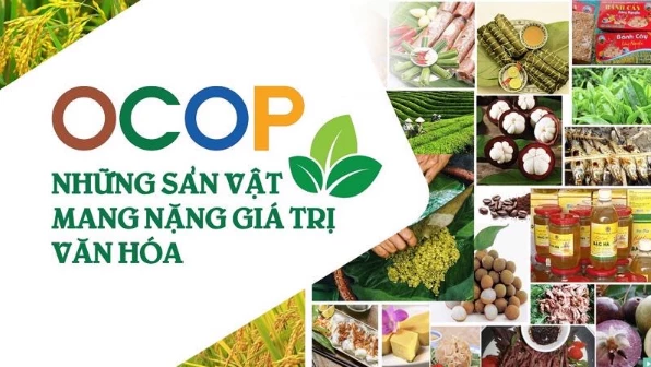Chương trình OCOP đem tới nhiều cơ hội cho sản phẩm Việt.