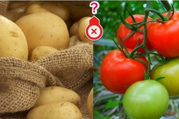 Ăn 5 loại thực phẩm này với cà chua sẽ biến thành "độc dược", nguy hại khó lường, chớ dại mà mắc phải