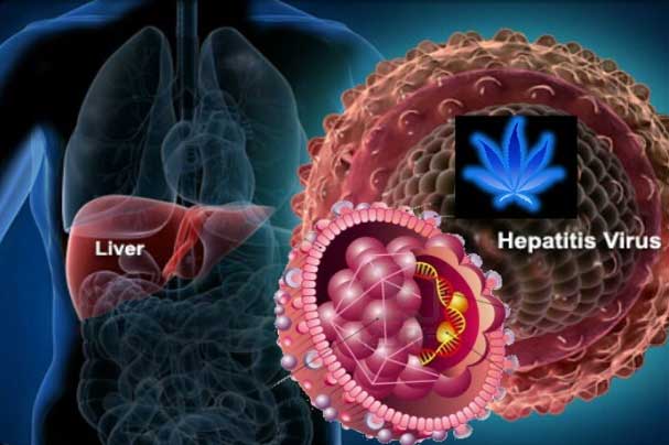 Gan ví như "nhà máy thải độc", đây chính là 4 việc phải làm ngay để bảo vệ gan suốt đời khoẻ mạnh