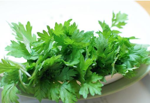 Những trường hợp tuyệt đối không được ăn rau ngải cứu, phụ nữ mang thai lưu ý