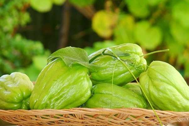 Ăn su su liên tục trong vòng 1 tuần, bạn sẽ thấy ngay điều kì diệu ngay khi thức dậy