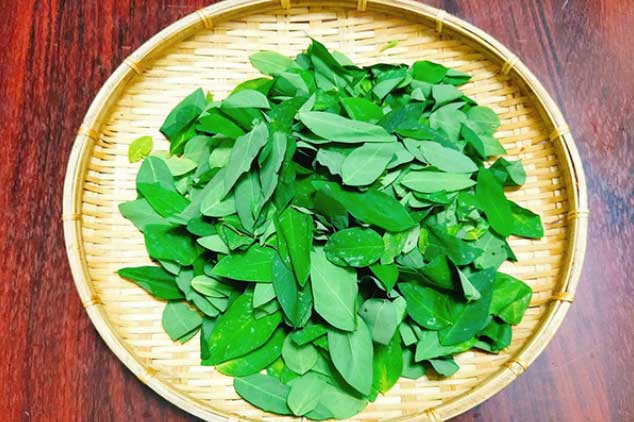 Rau ngót cực tốt cho sức khỏe nhưng những người này phải tuyệt đối tránh xa nếu không muốn rước họa vào thân