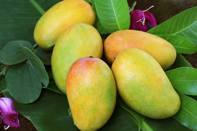 8 loại quả ngon nhưng tránh ăn vào buổi tối nếu không muốn tăng cân, béo phì