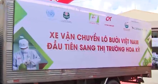 Nhộn nhịp thị trường xuất khẩu nông sản