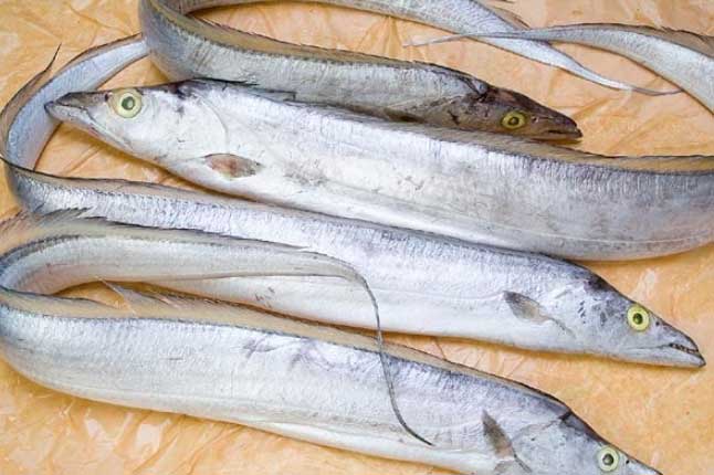 Đi chợ thấy 5 loại cá này hãy mua ngay: Toàn cá tự nhiên, không nuôi công nghiệp, vừa sạch vừa bổ