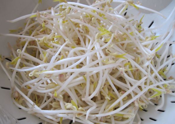 5 thực phẩm giúp bạn giảm cholesterol trong máu