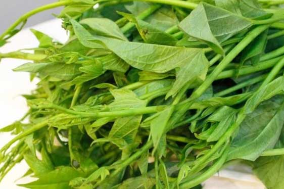 “Món ăn trường thọ” của người Nhật bổ ngang sâm: Ở Việt Nam cũng có giá “rẻ bèo” nhiều người không biết mà ăn