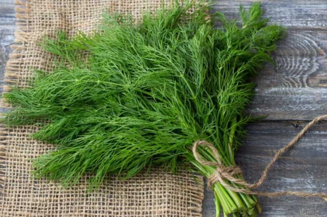 Phụ nữ 40 thường xuyên ăn 4 loại thực phẩm: ''Hút sạch'' mỡ nội tạng, sống thọ, ít mắc bệnh mạn tính