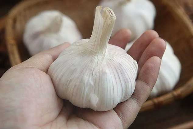 Vì sao nên vùi tỏi vào thùng gạo: Người thông minh đã làm từ lâu, biết lý do bạn sẽ muốn áp dụng ngay