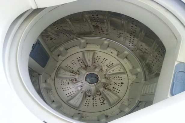 Không cần tốn tiền mua viên tẩy lồng giặt: Dùng 3 thứ có sẵn trong nhà này giúp máy sạch bóng
