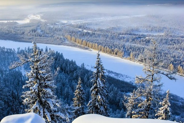 “Thây ma” Siberia hồi sinh sau 50.000 năm đóng băng: Cảnh báo rùng mình