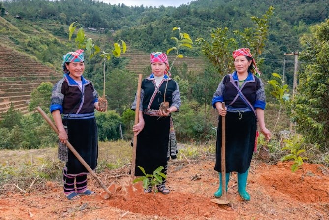 Yên Bái: Trao tặng 20.000 cây giống cho huyện Mù Căng Chải