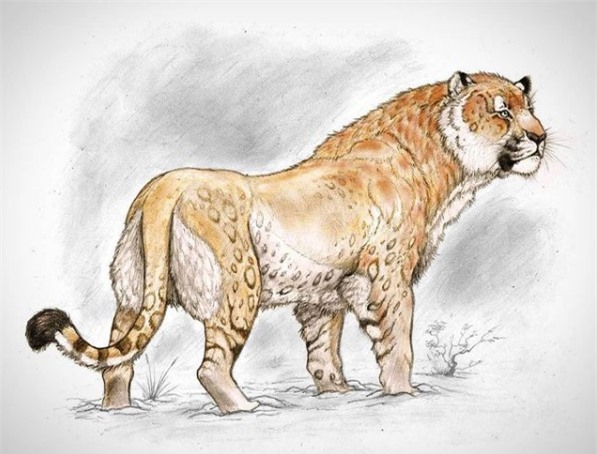 Sư tử quái vật gần nửa tấn hiện về sau 11.000 năm tuyệt chủng - Ảnh 2.