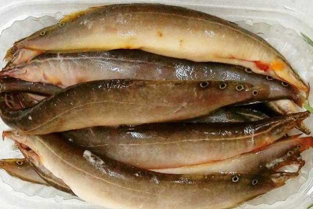 4 món ăn xấu mã nhưng giàu sắt hơn thịt nạc, nhiều canxi gấp 10 lần mực