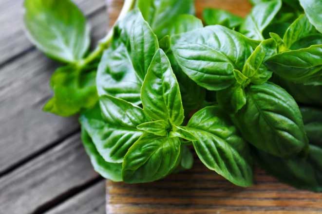 5 loại gia vị thảo mộc giúp bảo vệ sức khỏe khi thời tiết thất thường