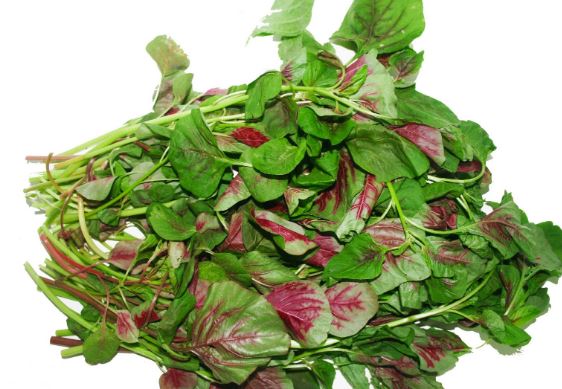 4 loại rau không ăn thường xuyên sẽ phải hối hận