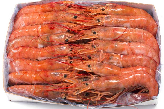 Tôm bổ dưỡng, giàu canxi nhưng 7 người này nên kiêng ăn tôm kẻo ‘rước độc’