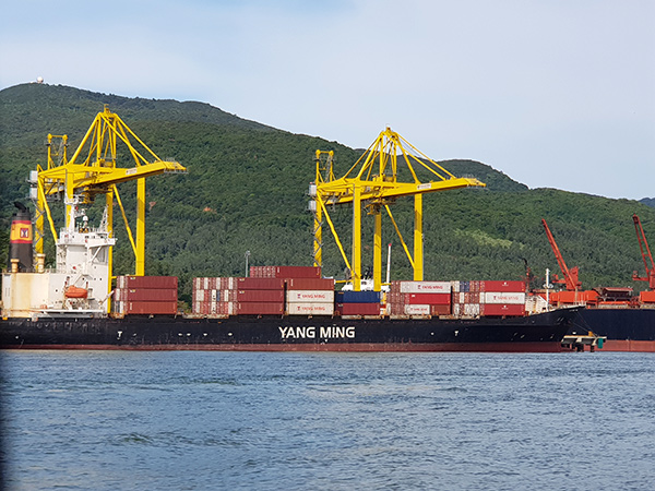 Đà Nẵng: Xuất siêu hơn 400 triệu USD trong 11 tháng