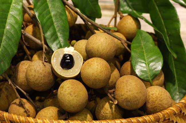 Nhãn là loại quả ngon nhưng khi ăn cần biết đại kỵ này, tránh rước bệnh vào thân