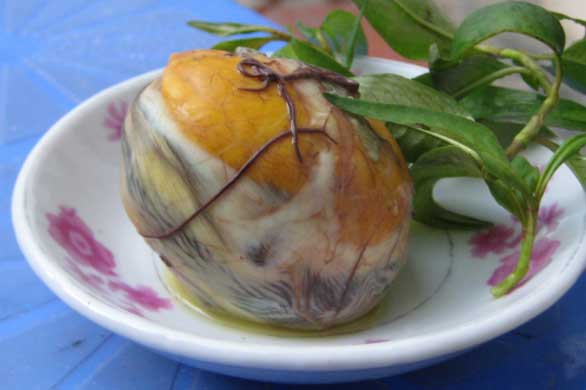 Sai lầm tai hại khi ăn trứng vịt lộn, bao nhiêu chất bổ đều hóa độc dược gây hại sức khỏe