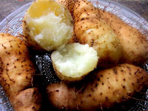 Giải độc cơ thể, giảm cân nhanh chỉ bằng củ từ