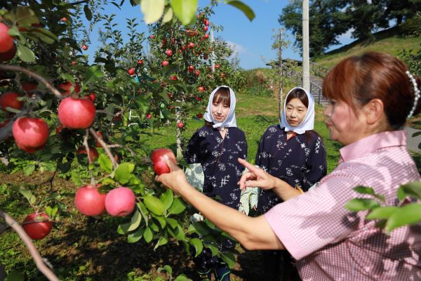 Du lịch nông nghiệp Nhật Bản hút du khách