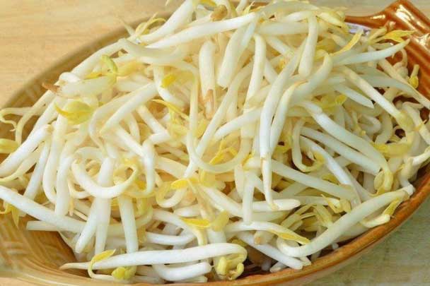 Những lợi ích quý giá của giá đỗ với sức khỏe con người