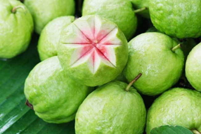 Những tác dụng bất ngờ từ quả ổi với sức khỏe con người