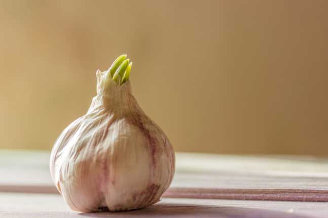 6 thực phẩm mọc mầm mới tốt, nhất là loại số 3