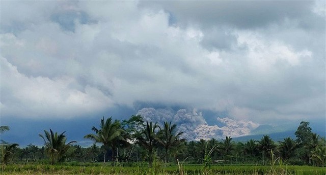 Indonesia sơ tán hàng nghìn người khi núi lửa Semeru phun trào trên đảo Java - Ảnh 3.