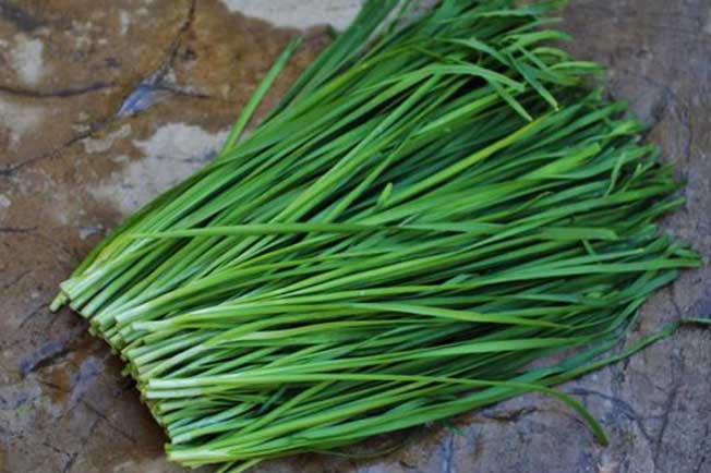 Loại rau rẻ tiền nhưng đại bổ, giúp chị em ngừa nhiều bệnh, đàn ông "sung mãn" đến bất ngờ