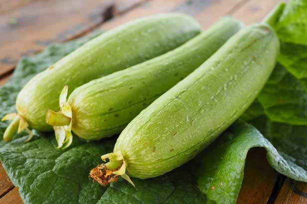 Những lợi ích quý của quả mướp với sức khỏe con người