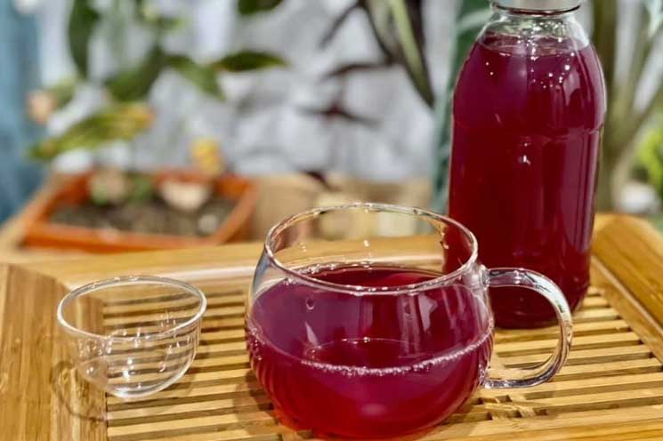 Cách nấu nước tía tô làm trắng da, trị nám và giảm cân hiệu quả