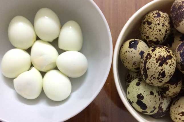Bổ dưỡng gấp 3-4 lần trứng gà, trứng cút còn phòng ngừa nhiều bệnh nguy hiểm