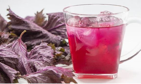 3 thời điểm vàng uống nước lá tía tô mỗi ngày: Đánh bay mỡ thừa, khỏe người, ít bệnh