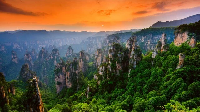 Rừng quốc gia Trương Gia Giới nổi tiếng khắp thế giới với cảnh quan thiên nhiên tuyệt sắc của khu rừng nguyên sinh hoang da, rừng đá sa thạch. (Ảnh: Discovery)