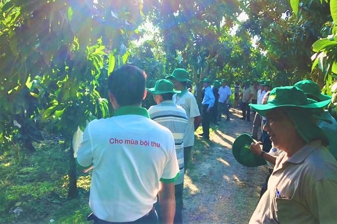 Khuyến khích mở rộng mô hình sử dụng phân bón tiết kiệm, hiệu quả