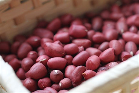 Sạch cao răng bằng nguyên liệu chỉ vài nghìn đồng