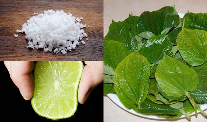 Thổi bay mụn chỉ bằng 1 nắm lá lốt