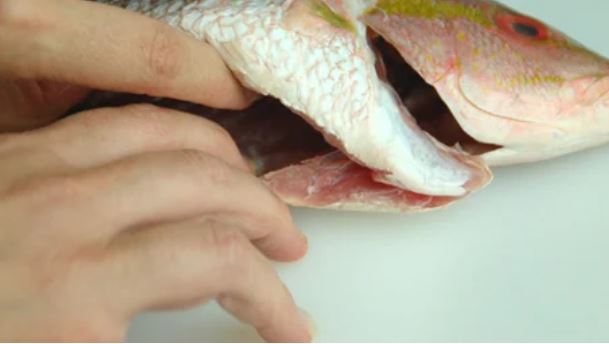 Ăn cá chớ dại đụng đũa 3 bộ phận này kẻo rước thủy ngân vào người, nhất là loại thứ 2