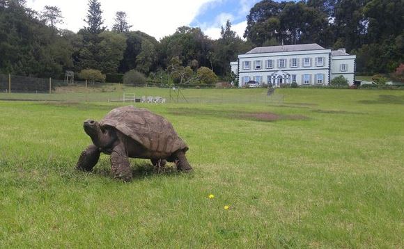 Con rùa già nhất thế giới vừa bước sang tuổi 190