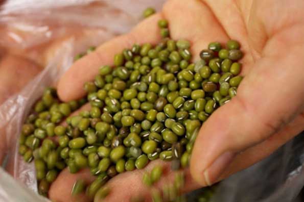 Những công dụng tuyệt vời của đậu xanh với sức khỏe